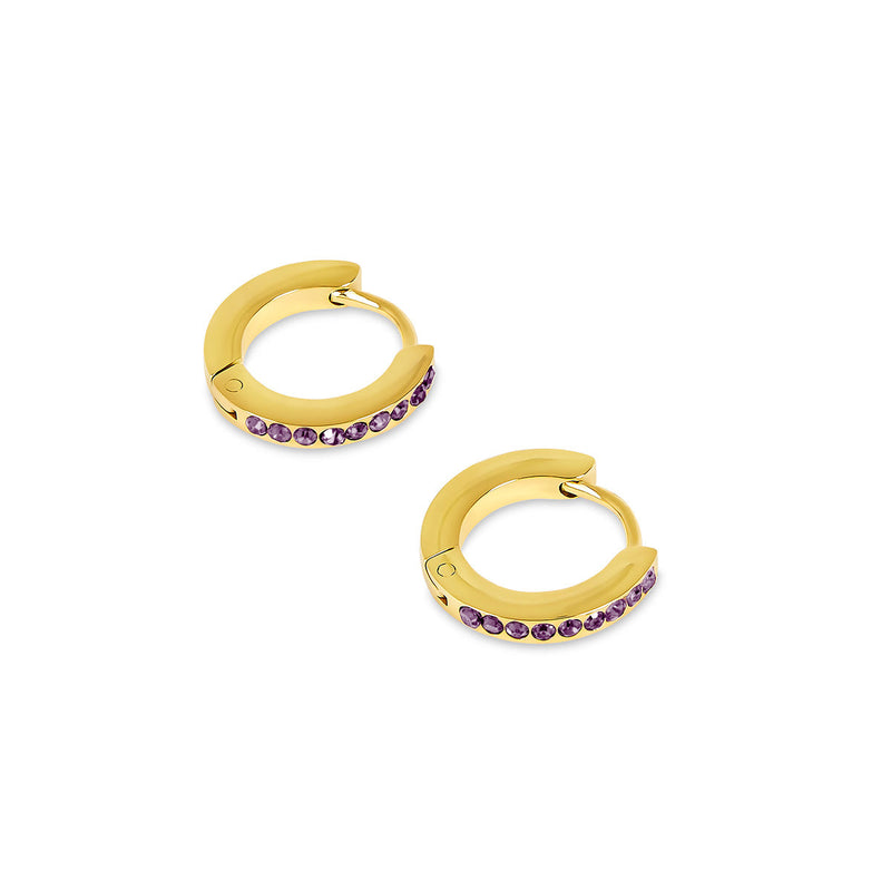 Birthstone Huggie Hoop Earrings - Gold (Select Your Birthstone!)